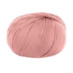 14393 Rosa antico