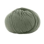 14569 Salvia scuro