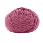 13333 Rosa peonia