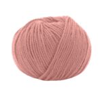 14393 Rosa Antico