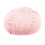 13210 Rosa Antico