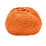 14524 Arancio vivo