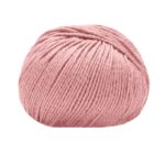 14393 Rosa carne
