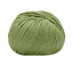 14529 Verde prato
