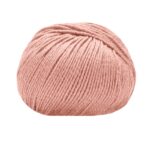 14568 Rosa pesca