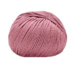 14445 Rosa malva