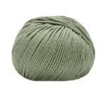 14569 Verde salvia
