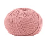 14393 Rosa antico