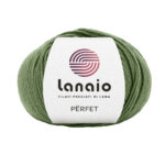 13278 Verde oliva