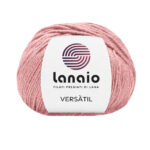 14393 Rosa carne