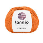 14524 Arancio vivo